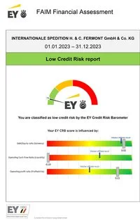 FAIM Financial Assessment mit Low Credit Risk Report, 7% Bewertung durch EY
